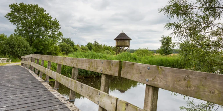 130 Oude Riet Uitkijktoren Boerakker Marcel Kerkhof (1)